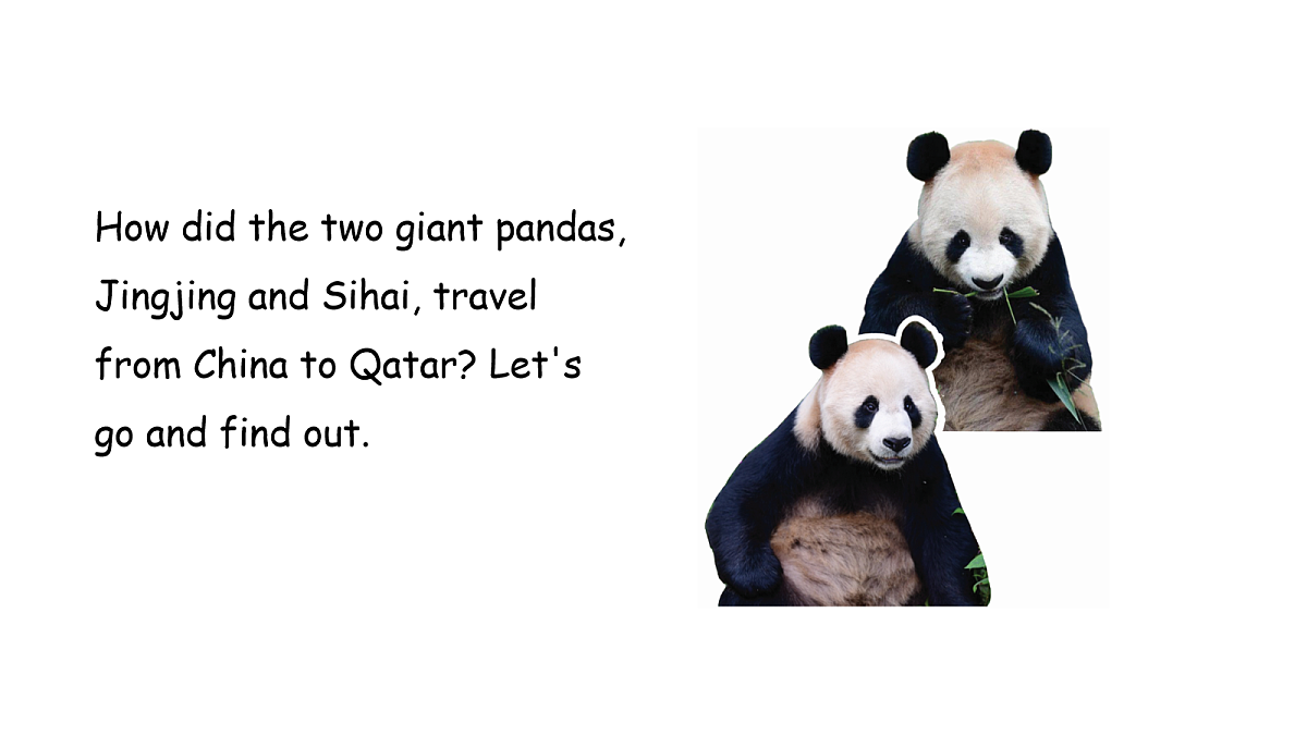 17279395第4页