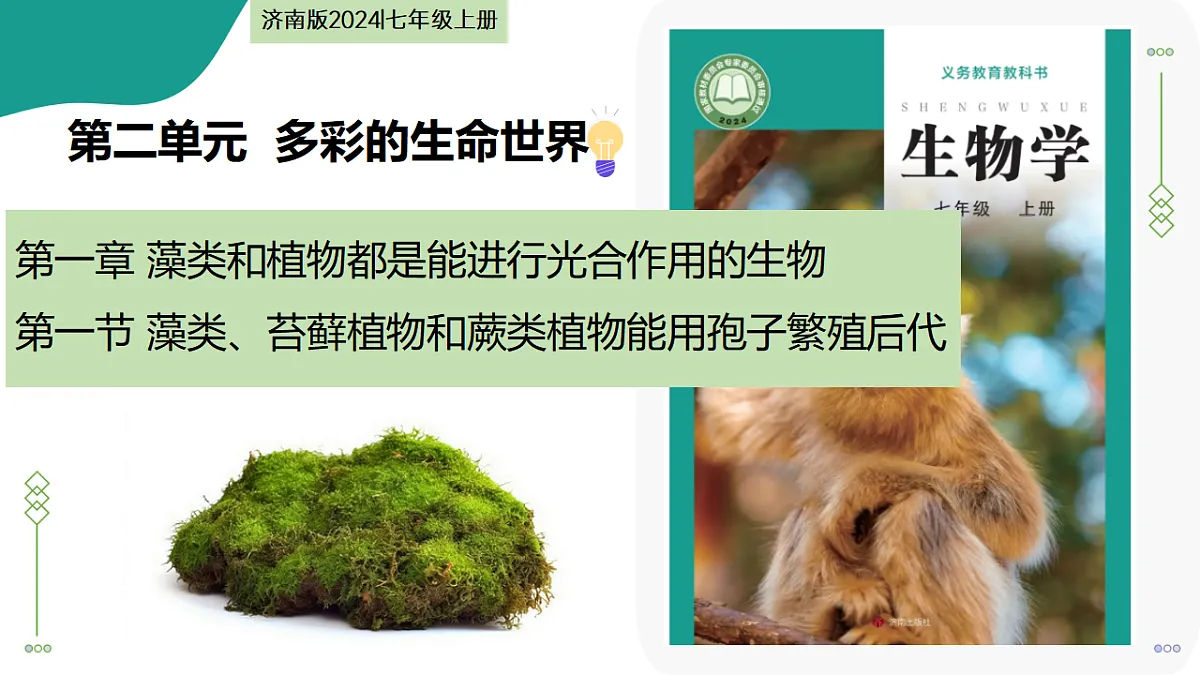17279542第1页