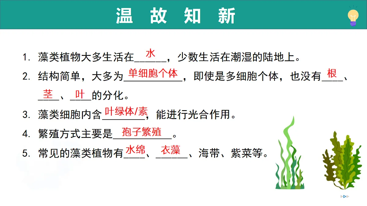 17279542第2页