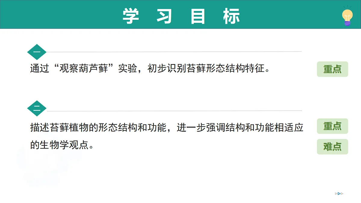 17279542第3页