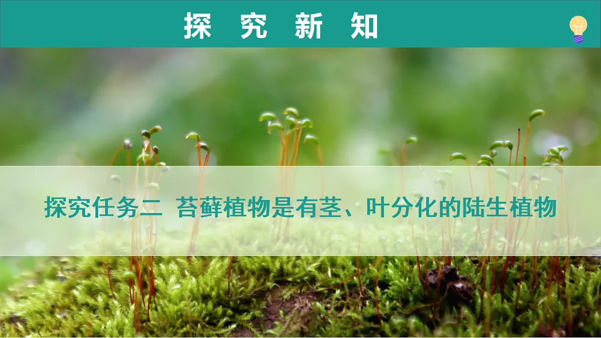 17279542第5页