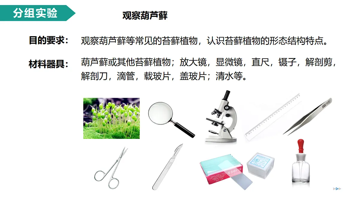 17279542第6页