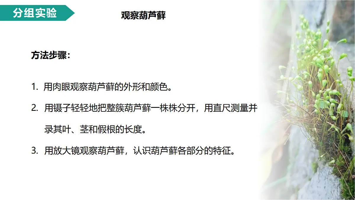 17279542第7页