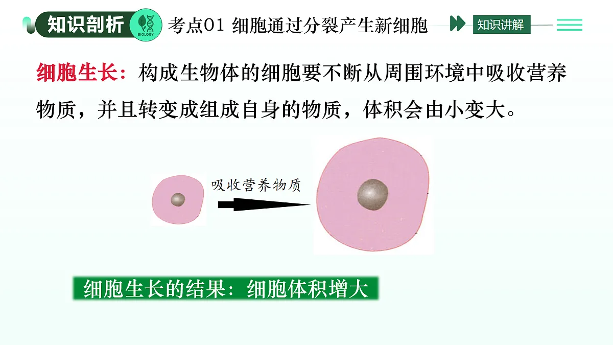 17279557第4页