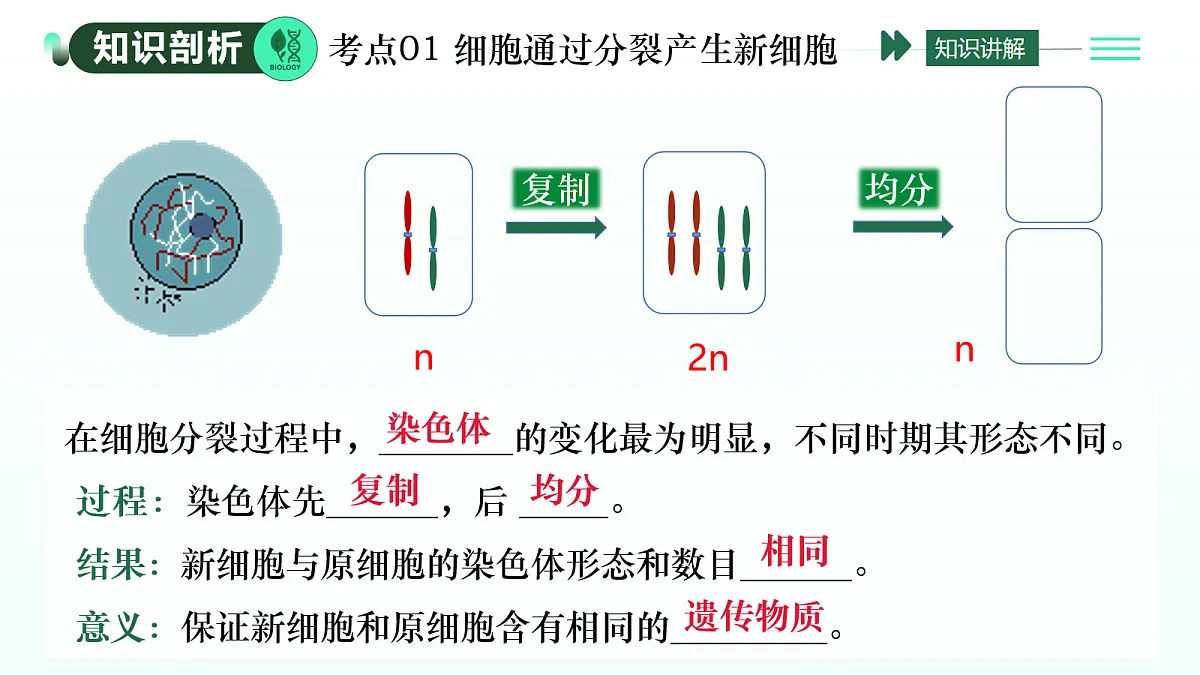 17279557第7页