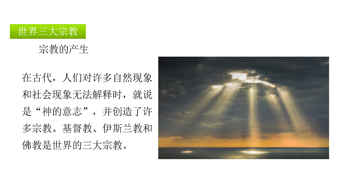 17279718第7页
