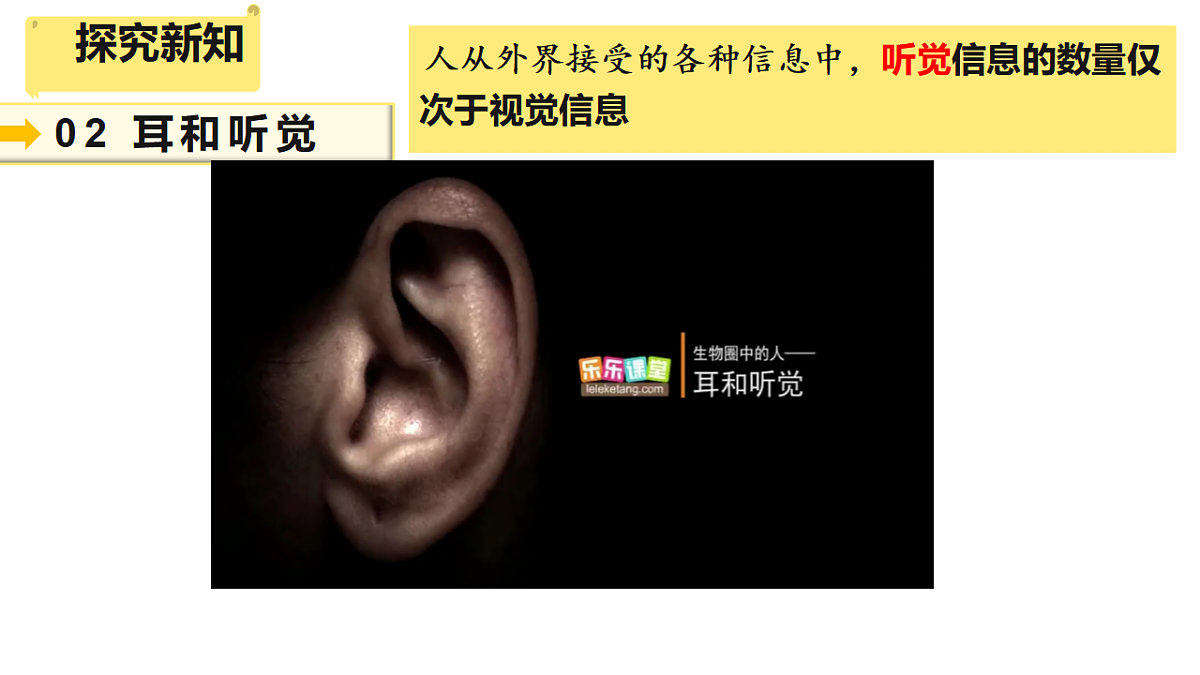 17279720第5页
