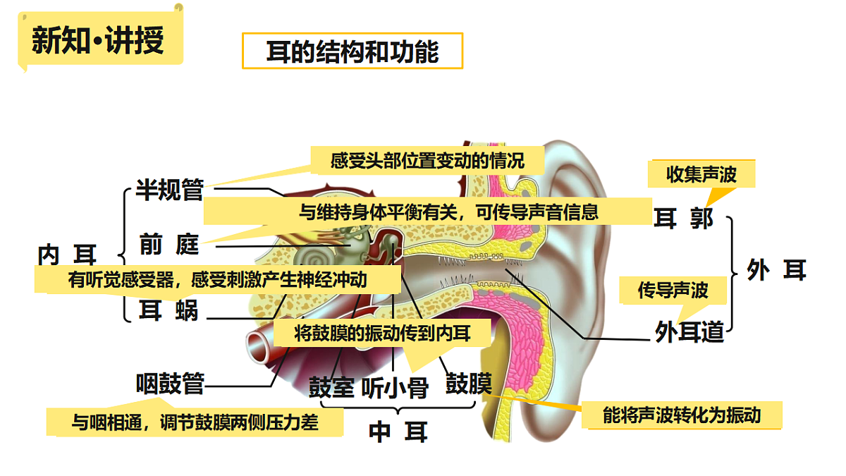 17279720第6页