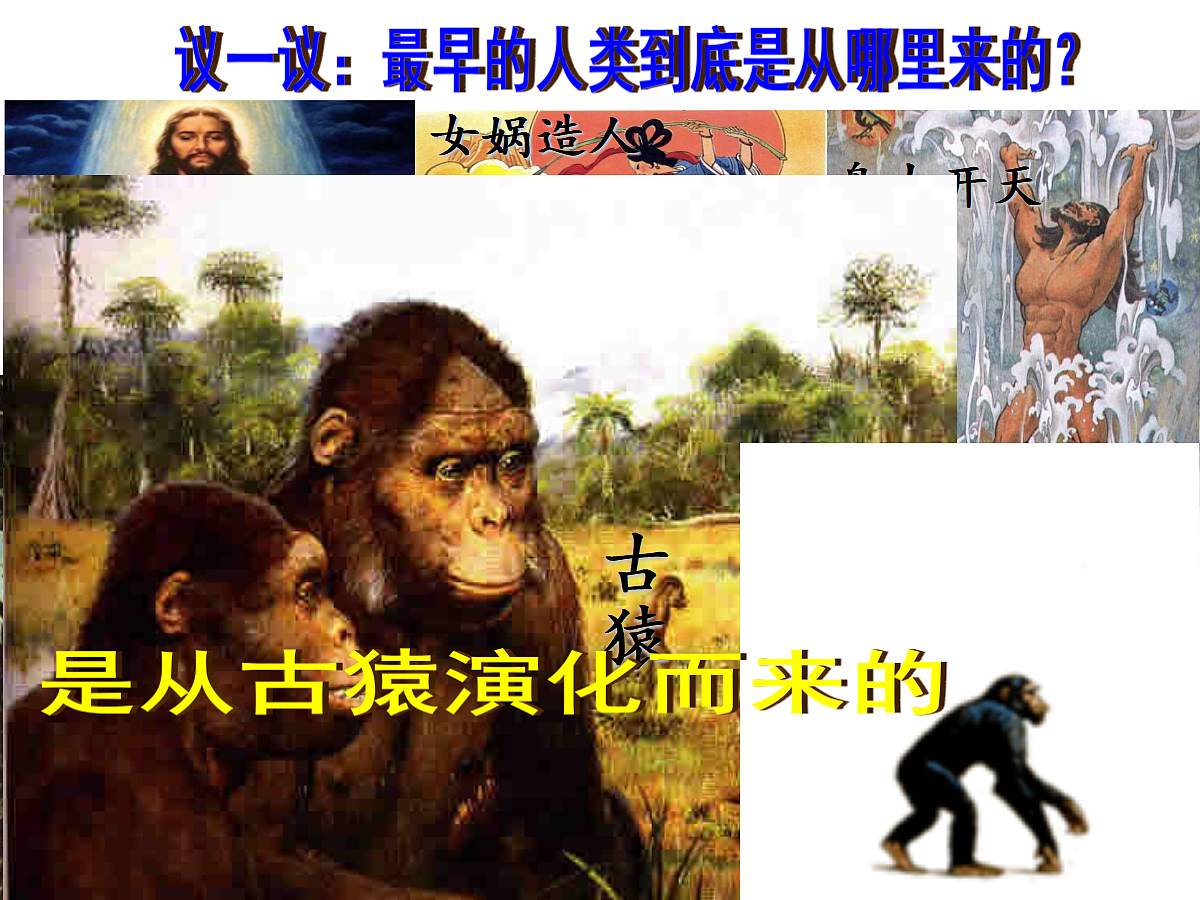17279741第3页