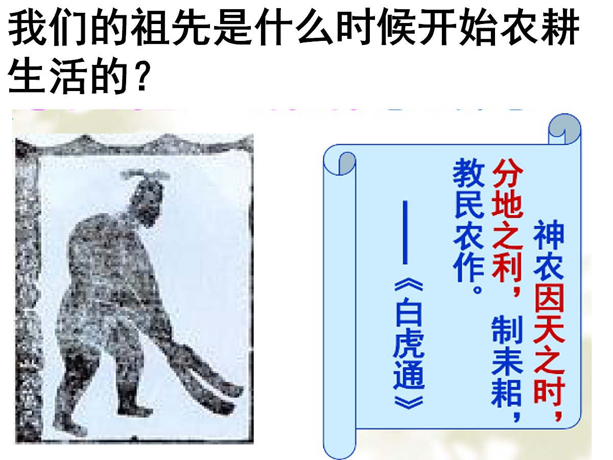 17279742第3页