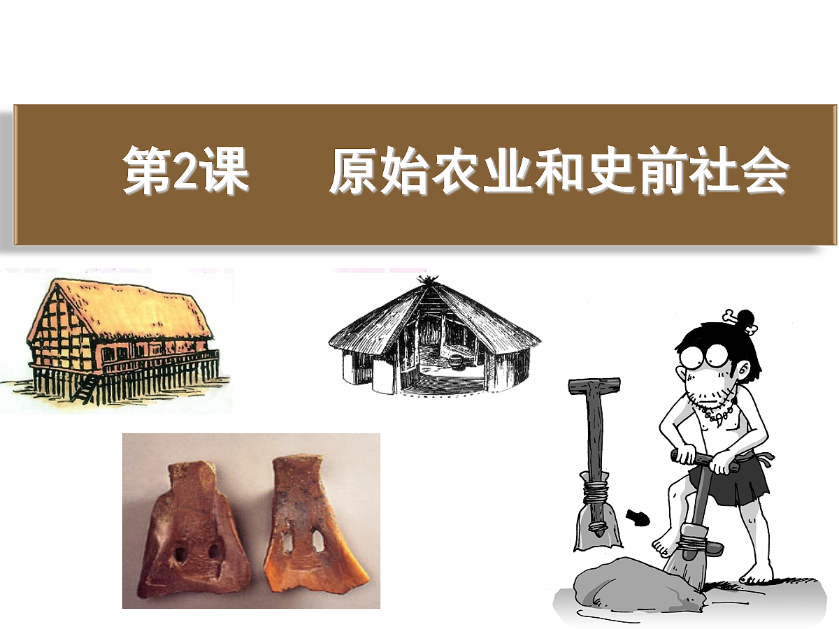17279742第5页