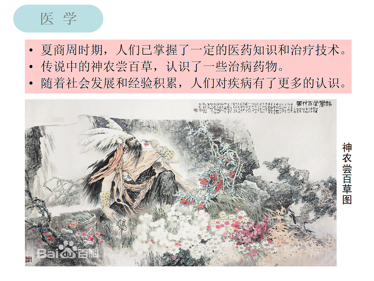 17279747第8页