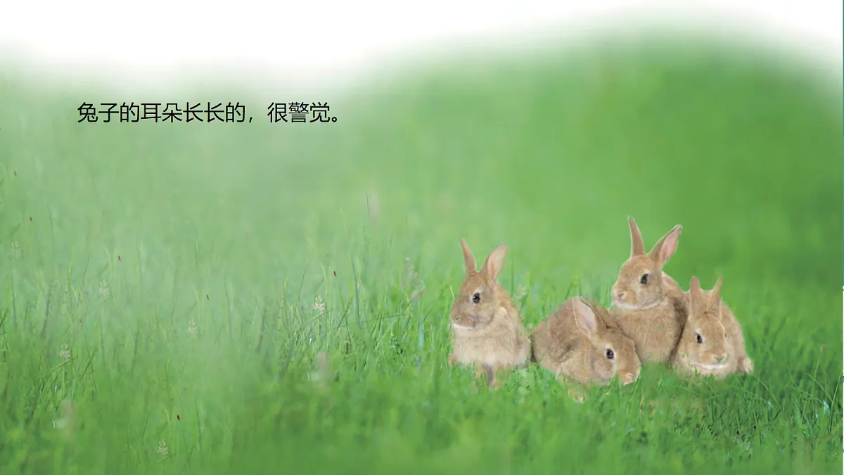 17281106第5页
