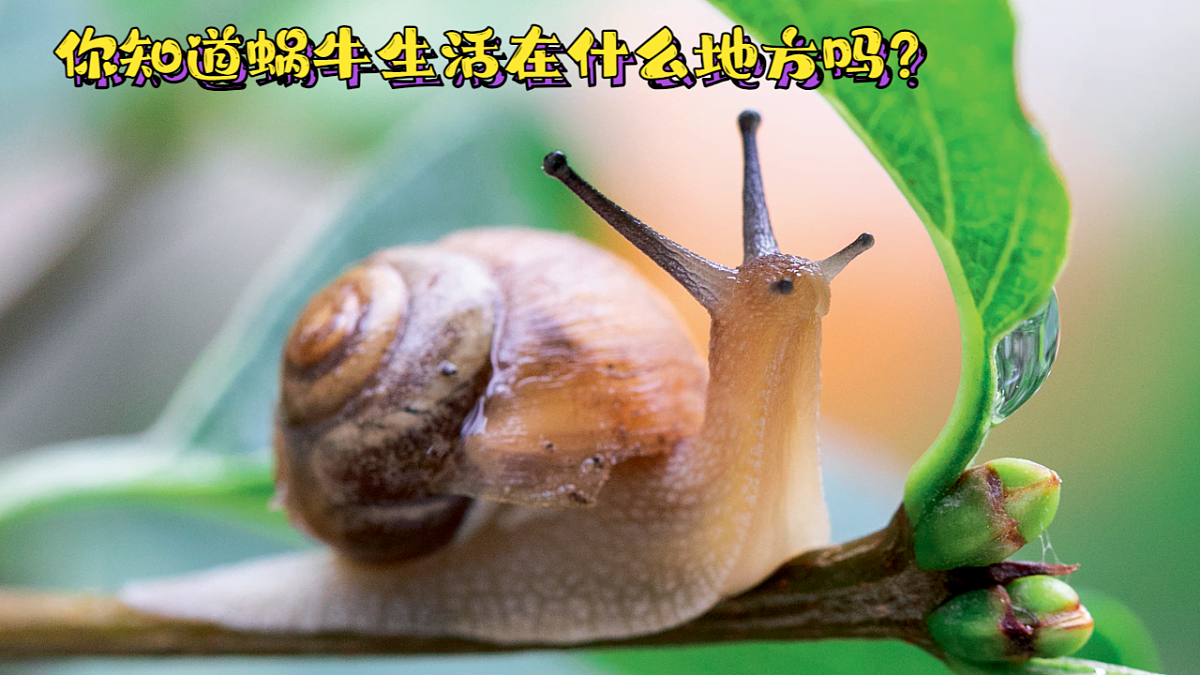 17281107第3页