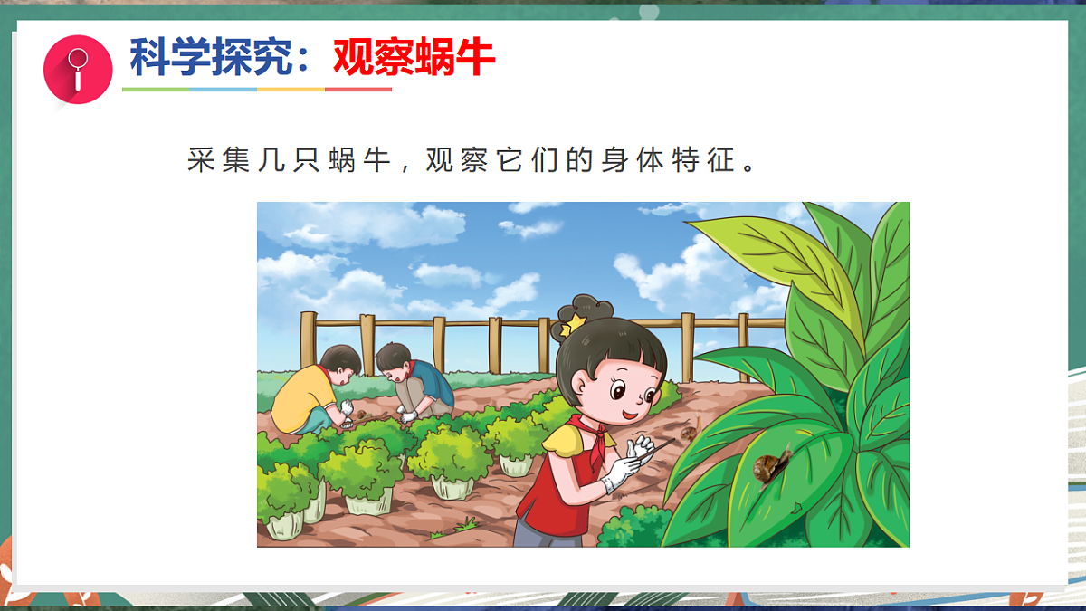 17281107第5页