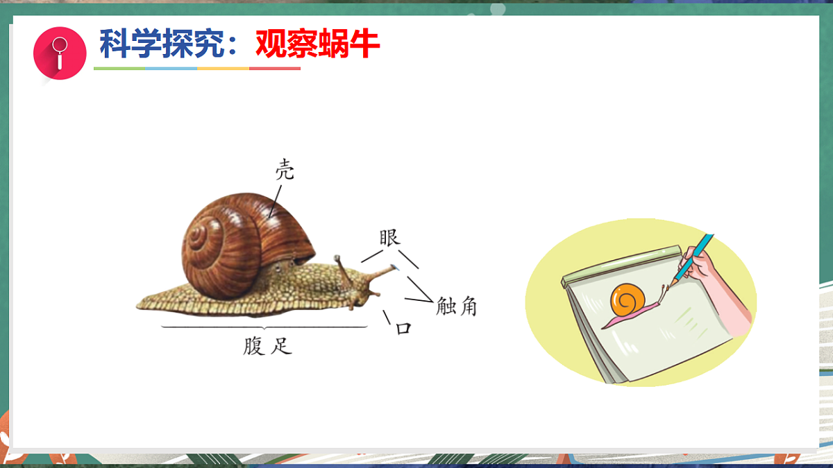17281107第7页
