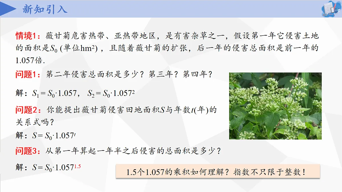 17281424第3页