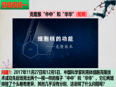 3.3 细胞核的结构和功能高一生物上学期同步优质课件（人教版2019必修1）