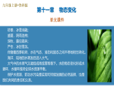 第一十一章 物态变化（复习课件）2024九年级上册九年级物理上册单元复习系列（鲁教版（五四学制）2024）