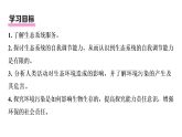5.2.1分析人类活动对生态环境的影响+课件-2025-2026学年人教版（2024）生物八年级上册
