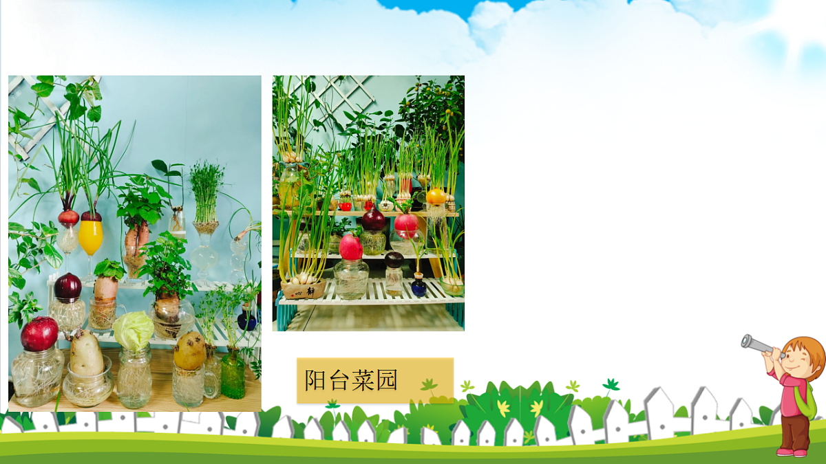 17282126第3页
