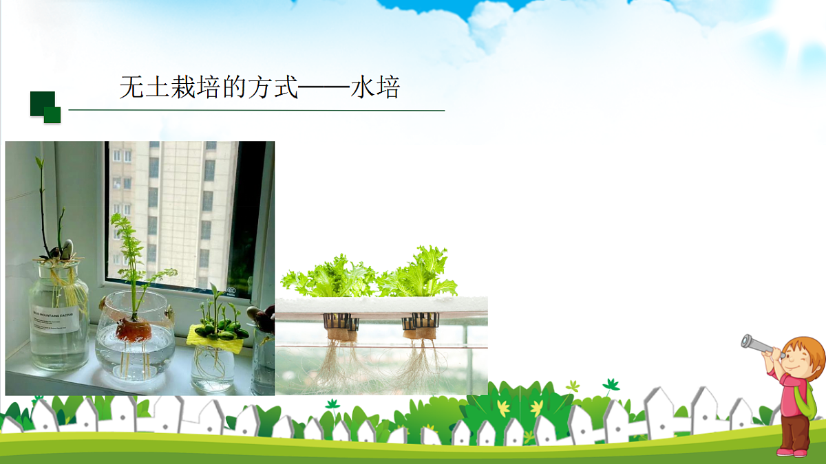 17282126第8页