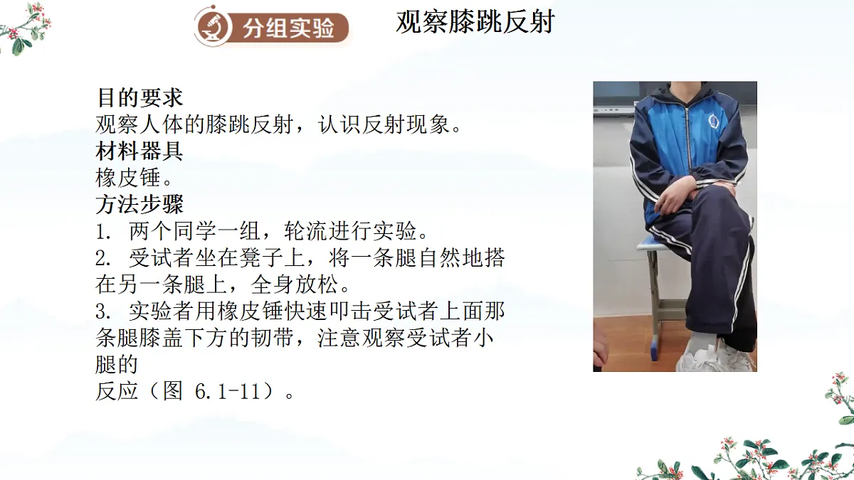 17282155第5页