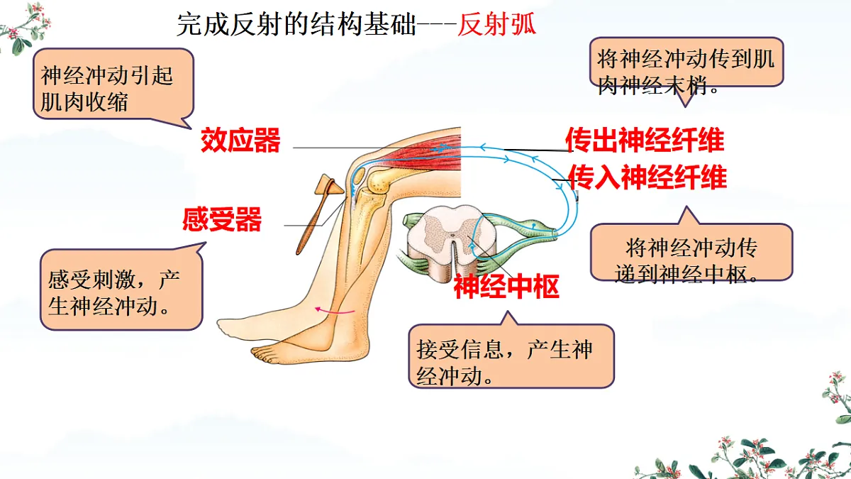 17282155第8页