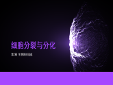 2.1细胞的分裂和分化课件-苏教版生物七年级上册