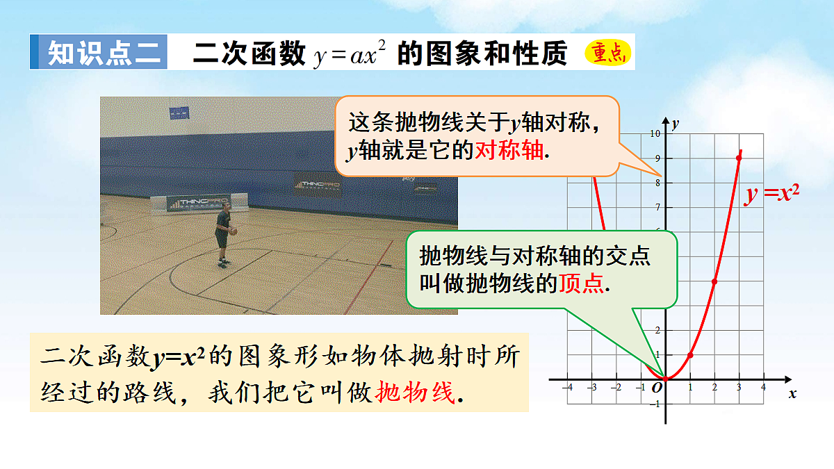 17282167第6页