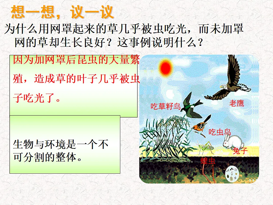 17282172第2页