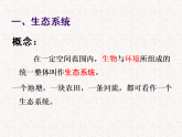 5.1.2生态系统的结构和功能课件-2025-2026学年人教版生物八年级上册