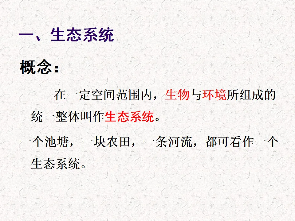 17282172第3页