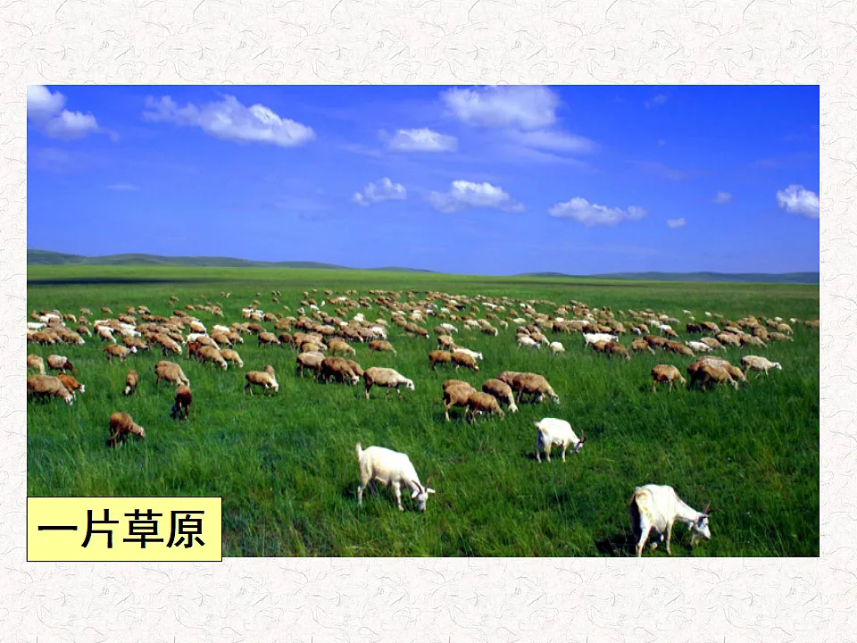 17282172第6页