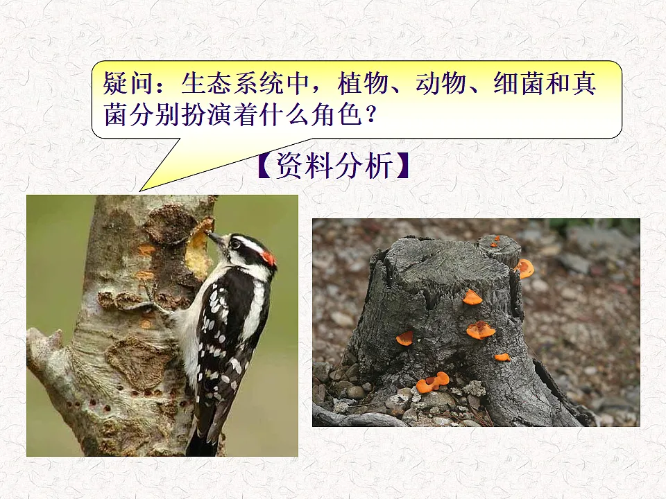 17282172第8页