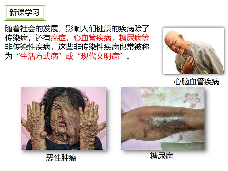 17282176第5页