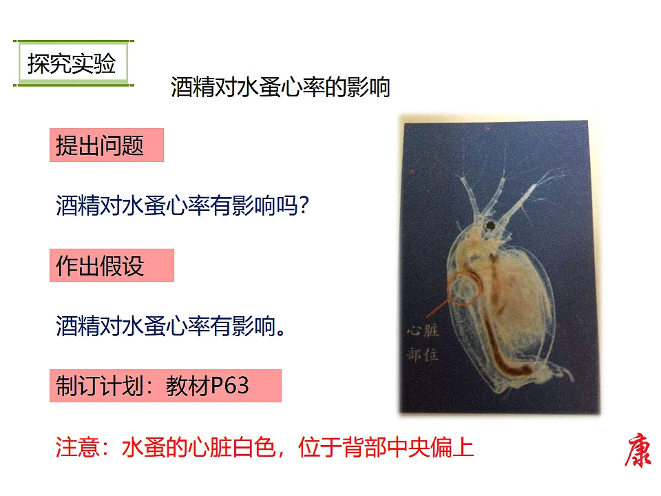 17282176第7页