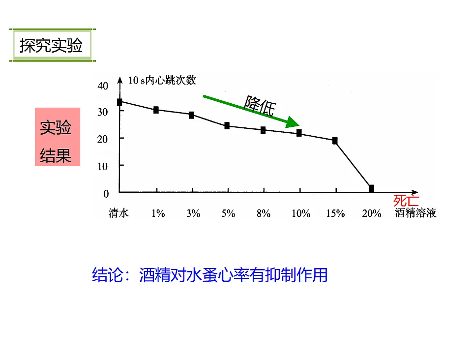 17282176第8页