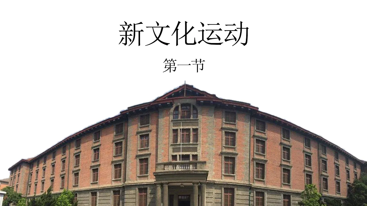 17282381第3页
