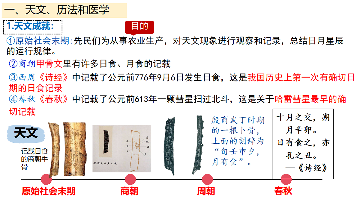 17282382第3页