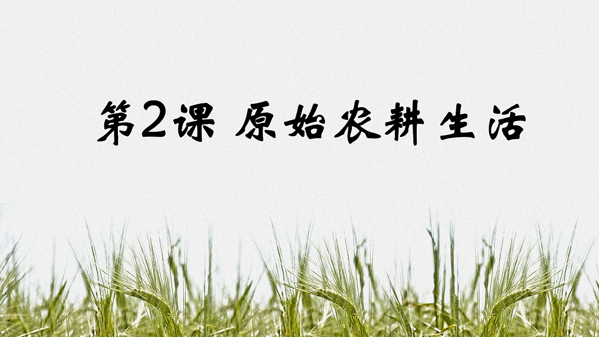 17282387第3页