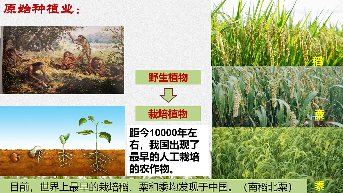 17282387第5页