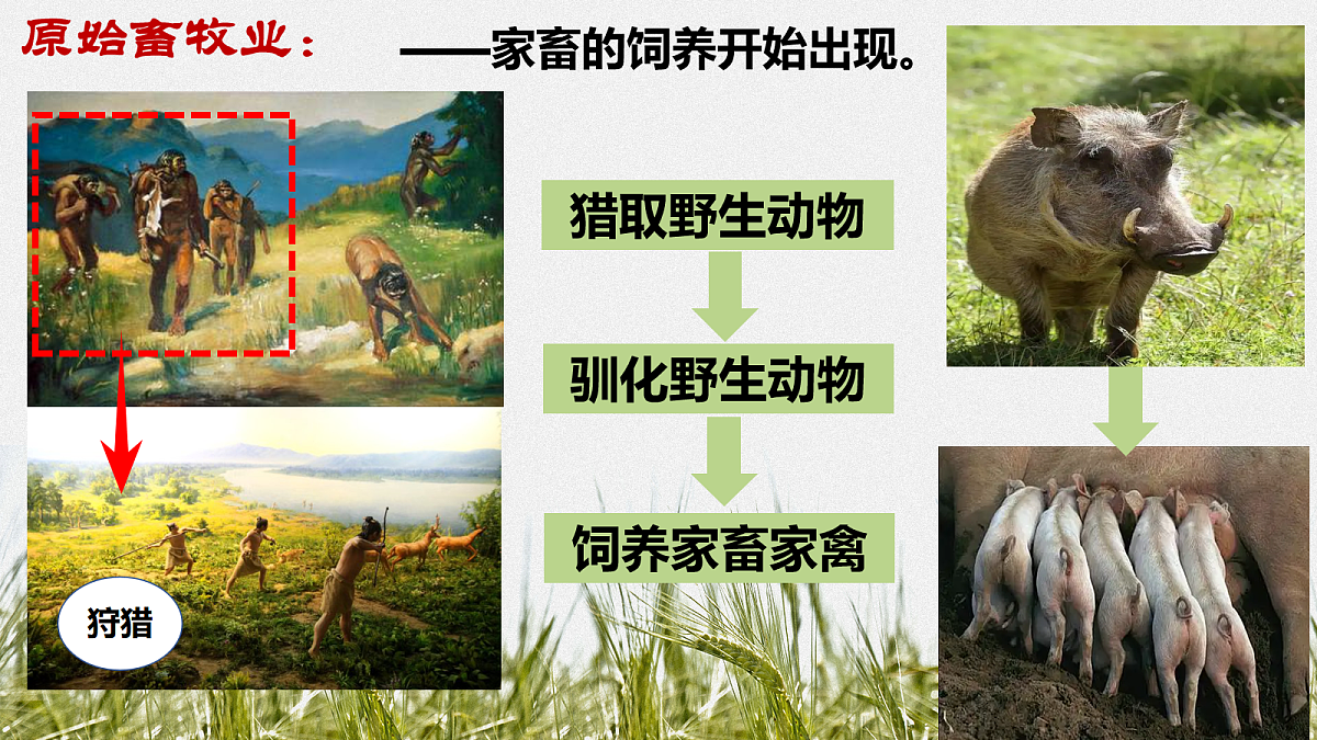 17282387第7页
