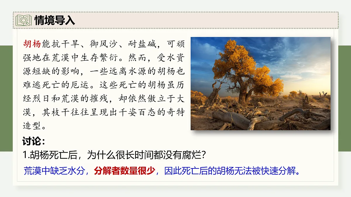 17282431第3页
