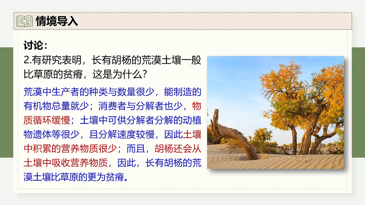 17282431第4页