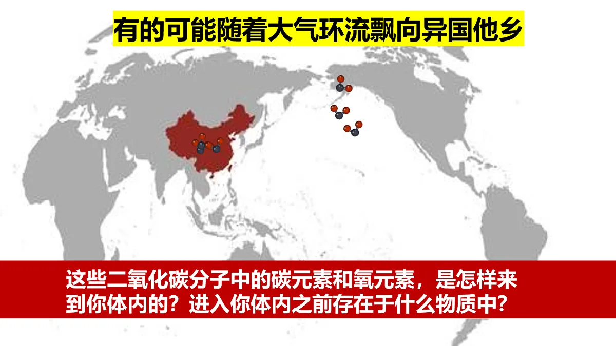 17282431第6页