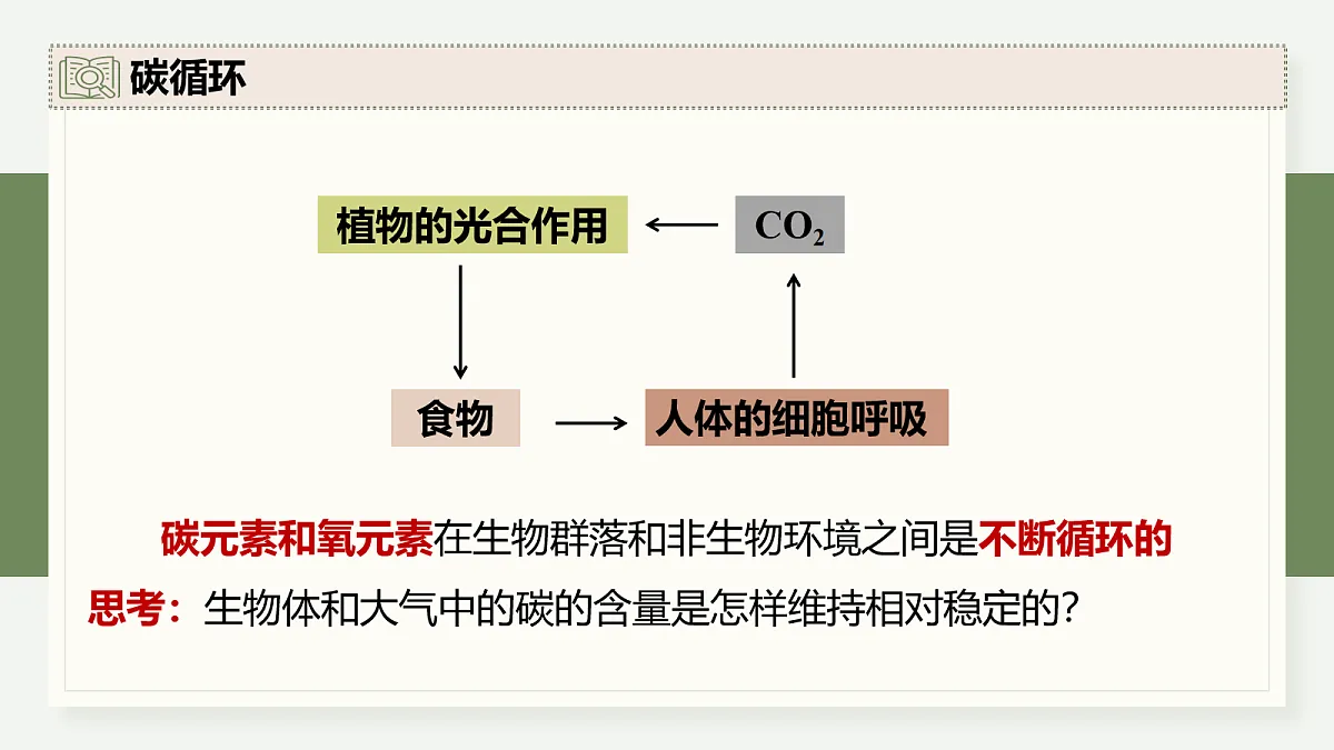 17282431第7页