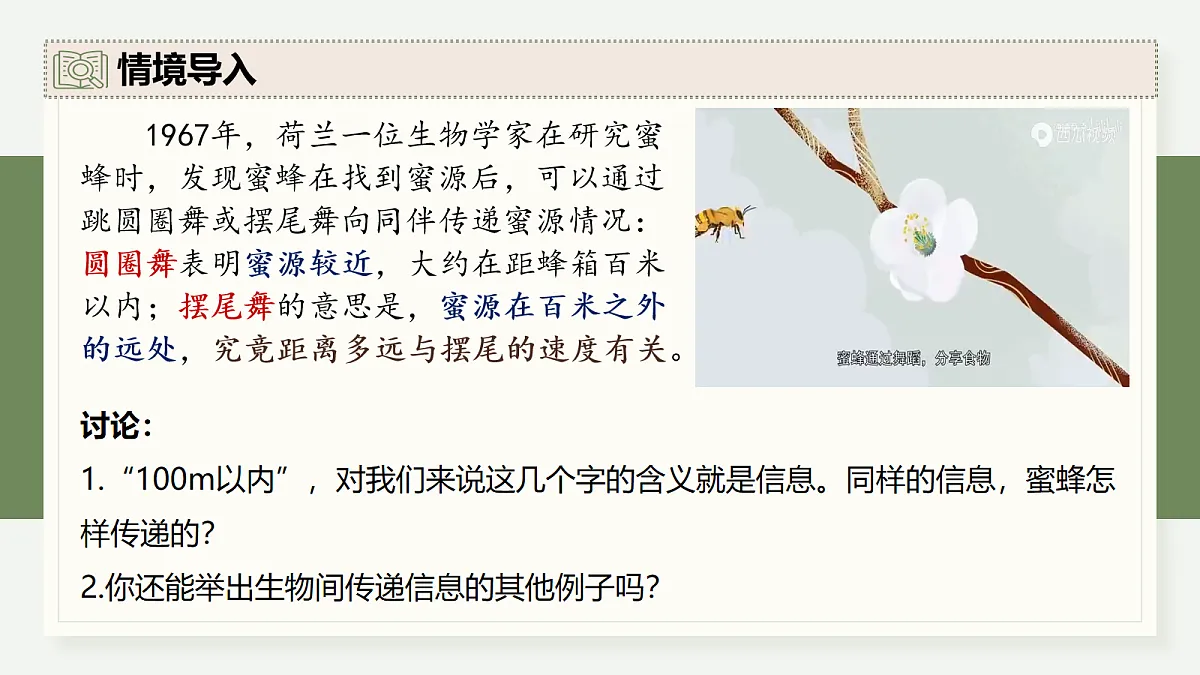 17282433第3页