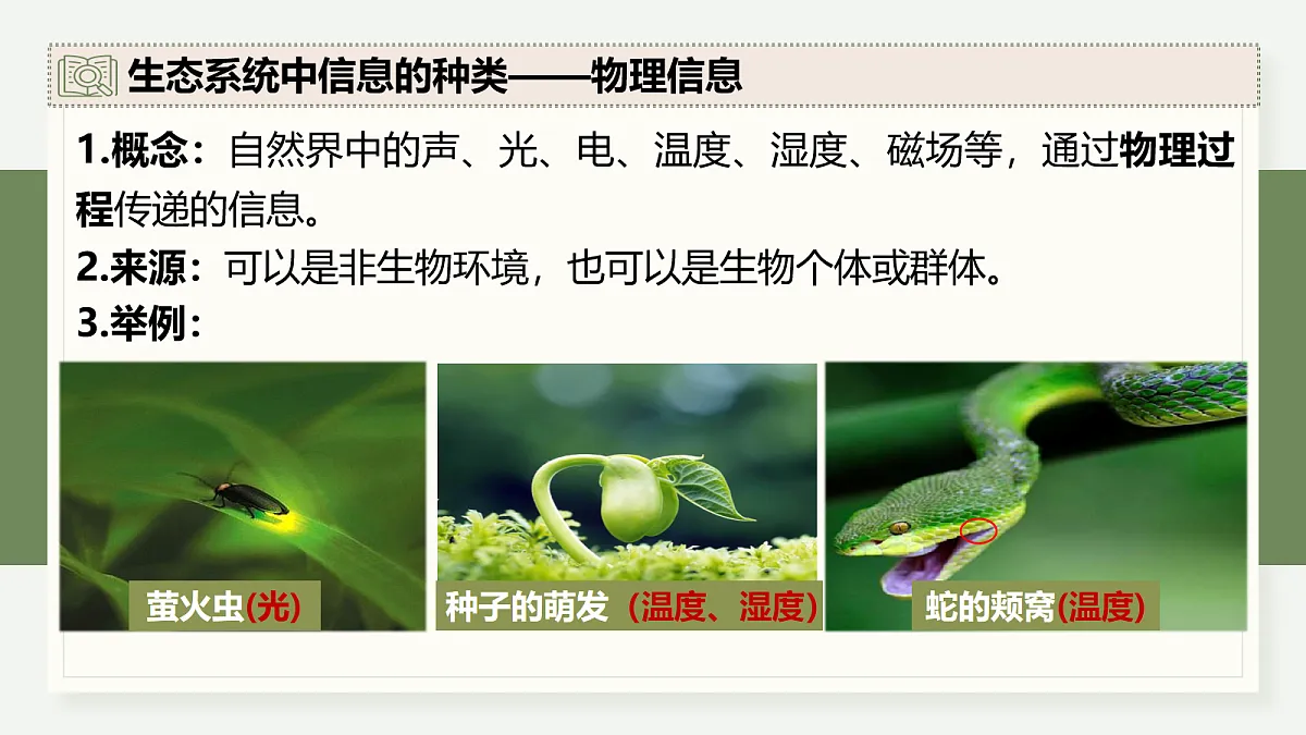 17282433第5页