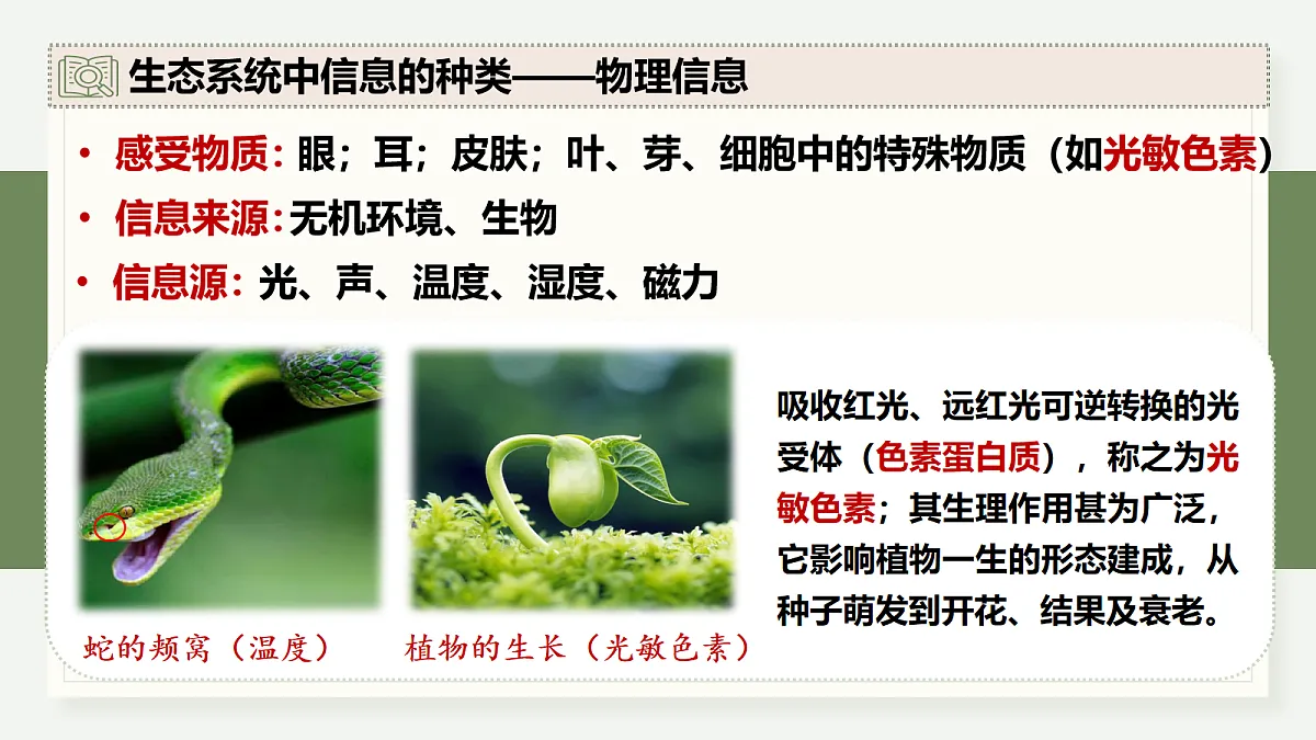 17282433第6页